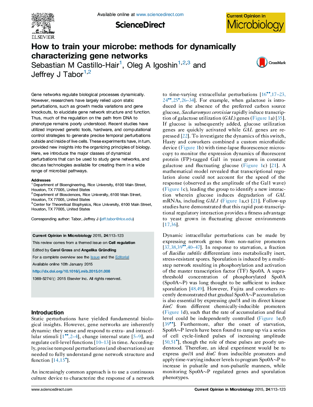 How to train your microbe: methods for dynamically characterizing gene networks