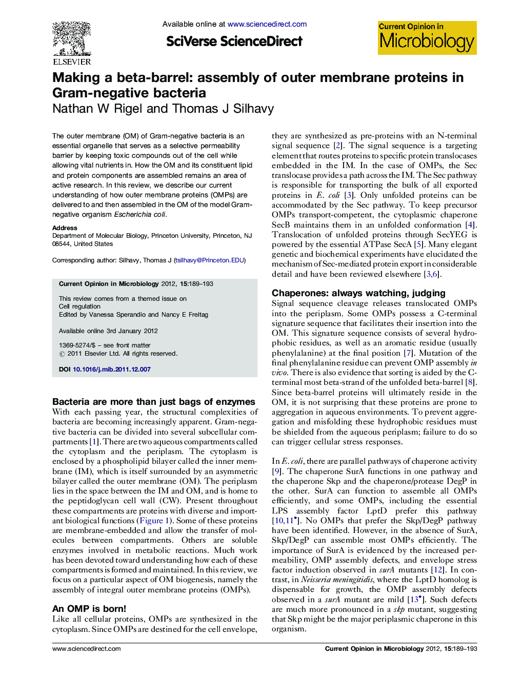 Making a beta-barrel: assembly of outer membrane proteins in Gram-negative bacteria