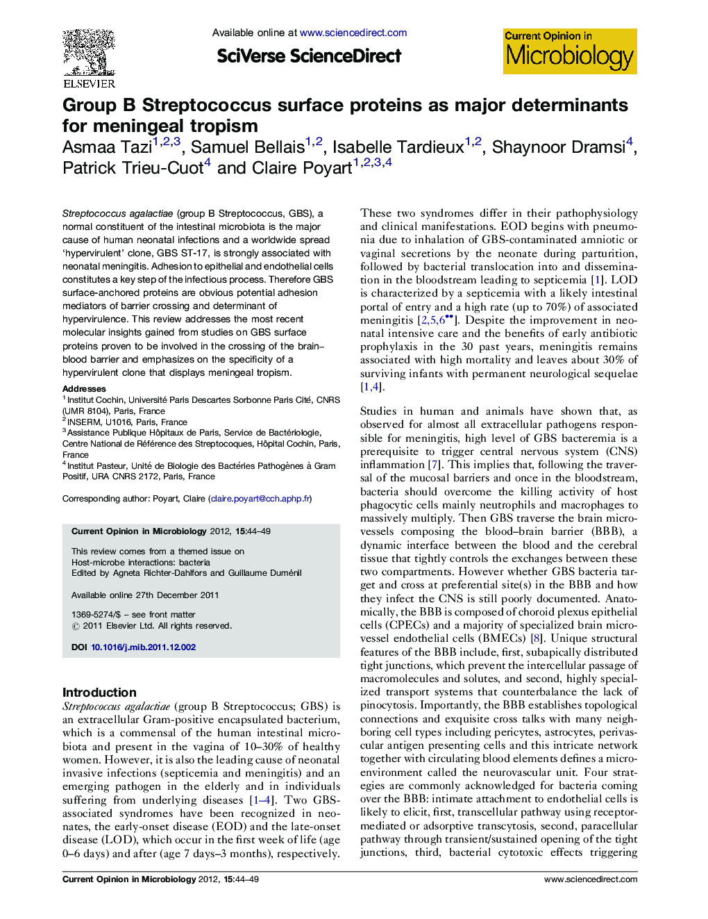 Group B Streptococcus surface proteins as major determinants for meningeal tropism