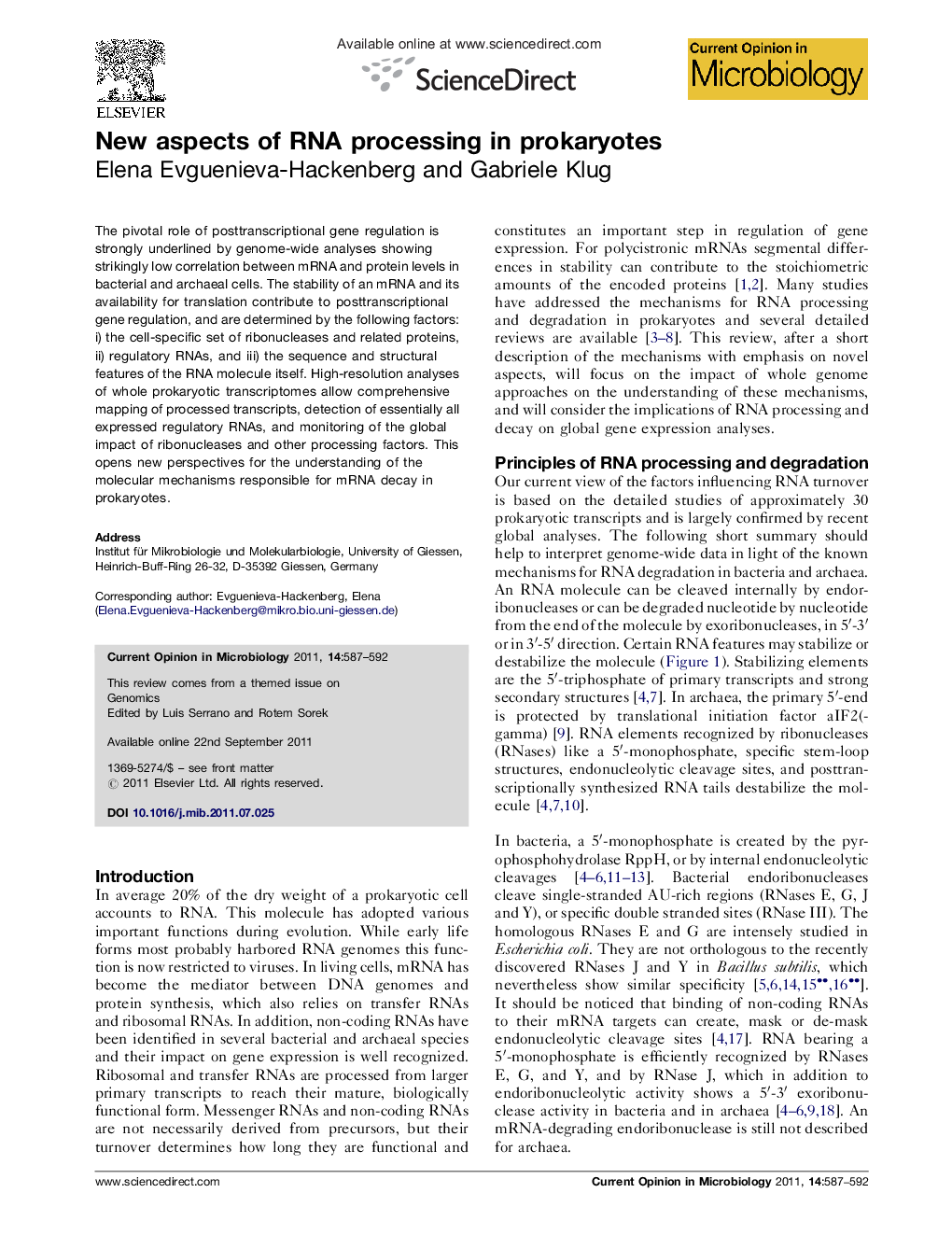 New aspects of RNA processing in prokaryotes