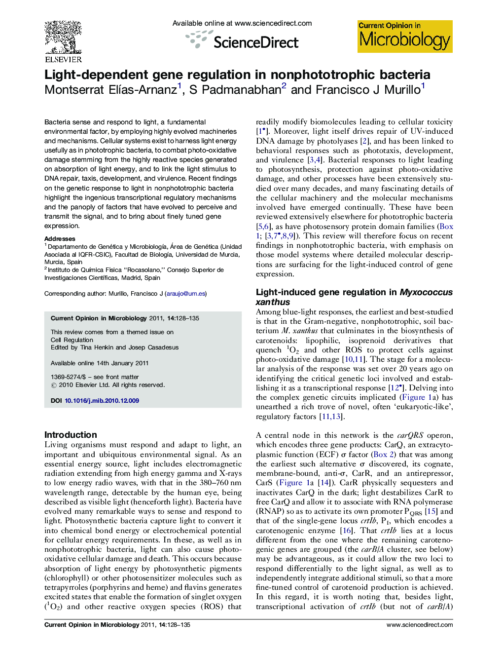 Light-dependent gene regulation in nonphototrophic bacteria