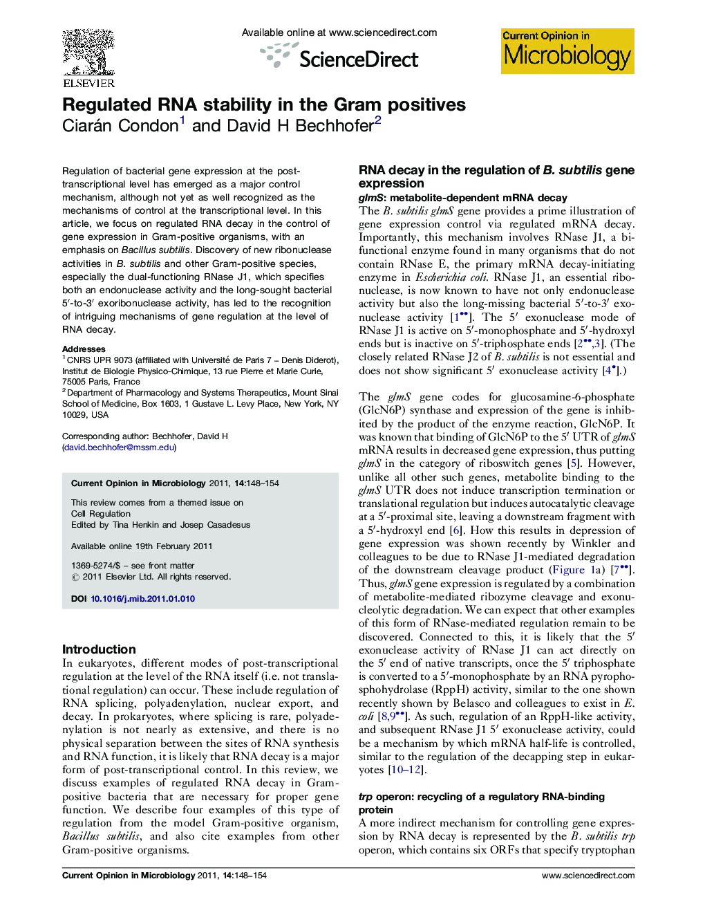 Regulated RNA stability in the Gram positives