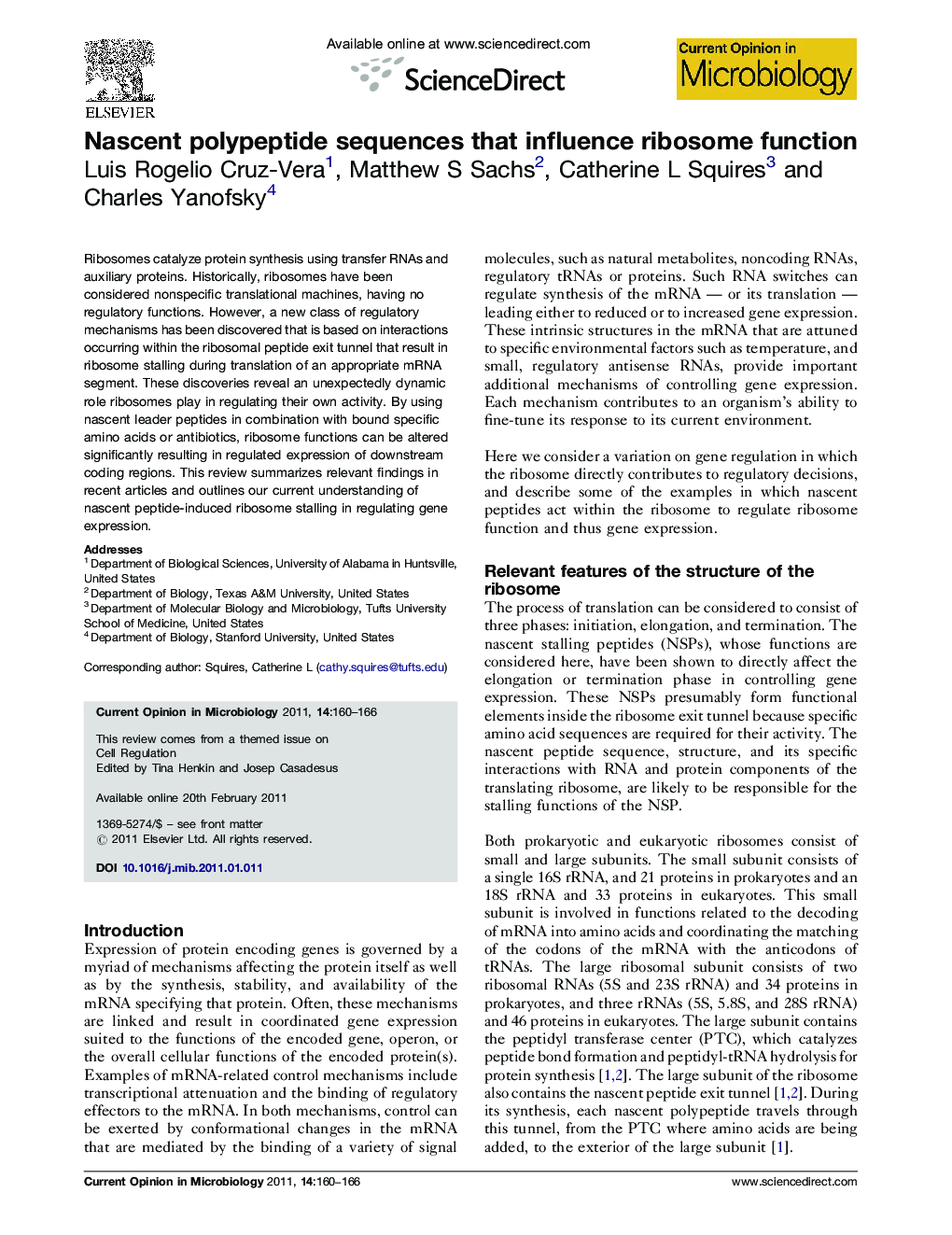 Nascent polypeptide sequences that influence ribosome function