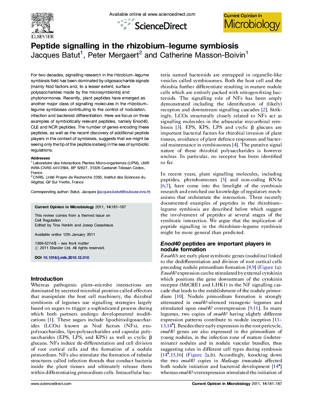 Peptide signalling in the rhizobium–legume symbiosis