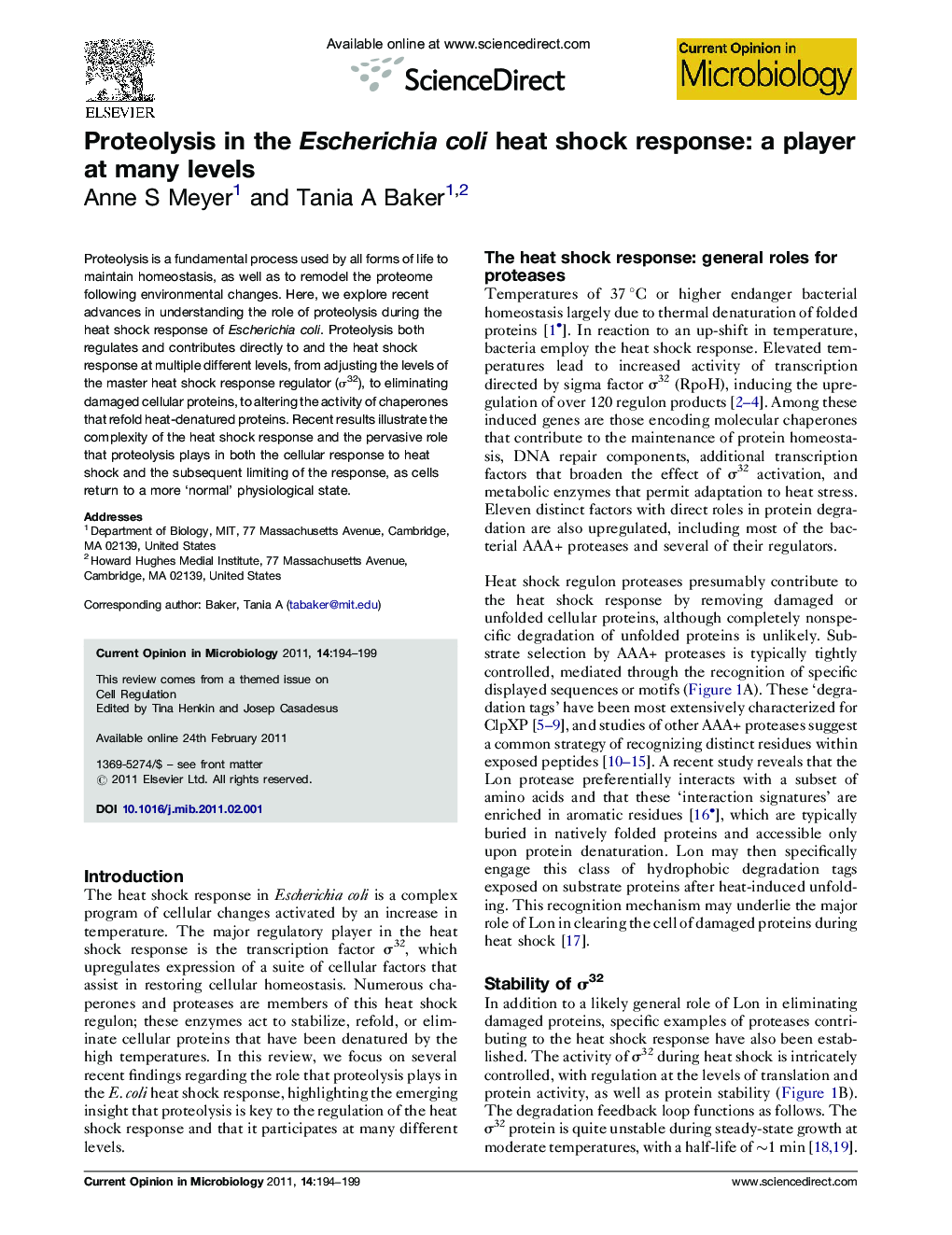 Proteolysis in the Escherichia coli heat shock response: a player at many levels