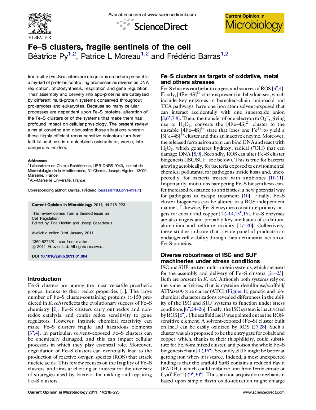 Fe–S clusters, fragile sentinels of the cell