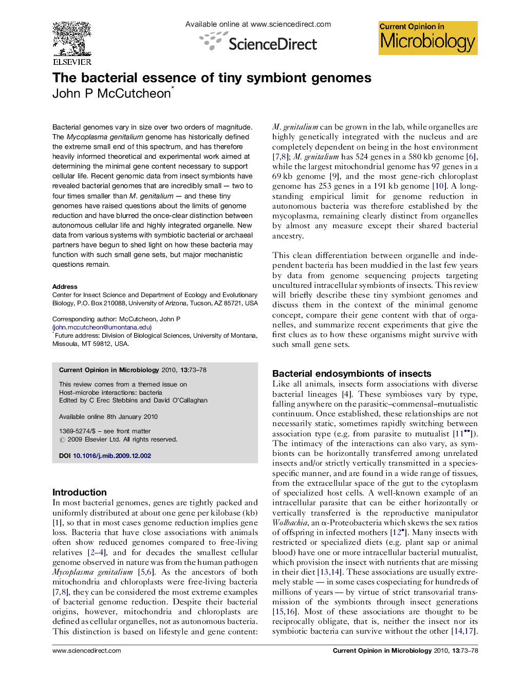 The bacterial essence of tiny symbiont genomes