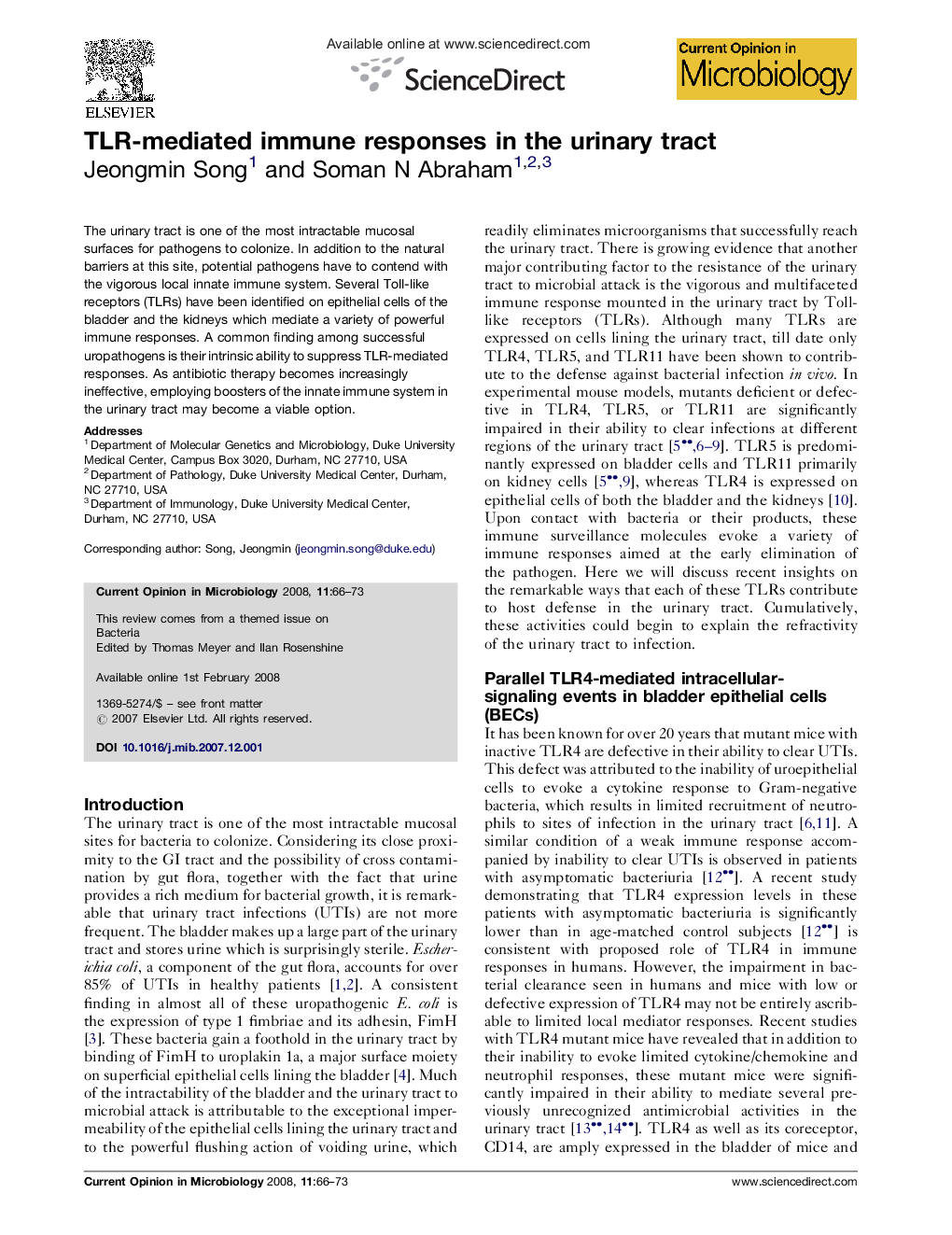 TLR-mediated immune responses in the urinary tract