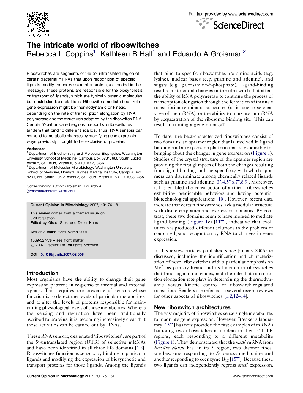 The intricate world of riboswitches