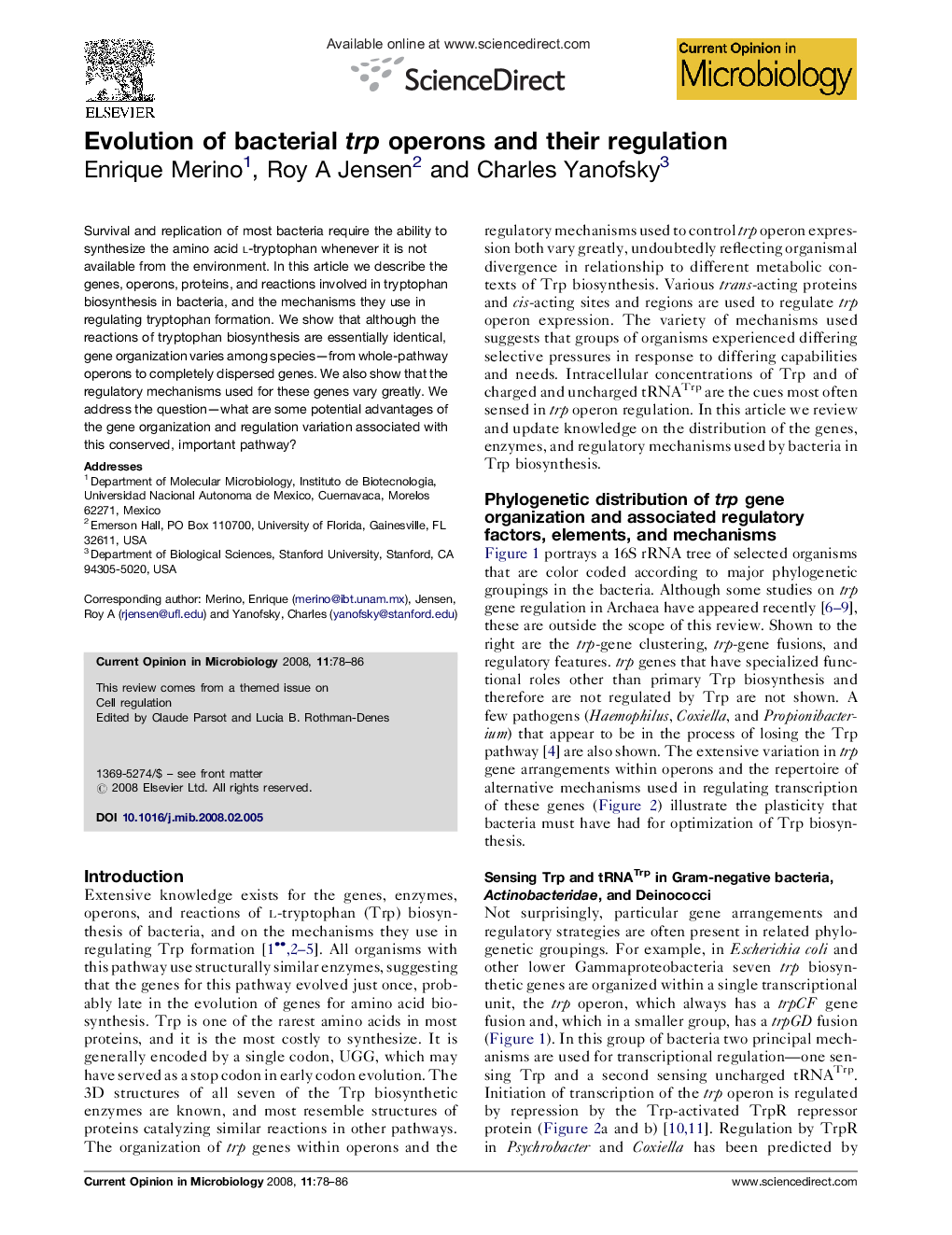 Evolution of bacterial trp operons and their regulation