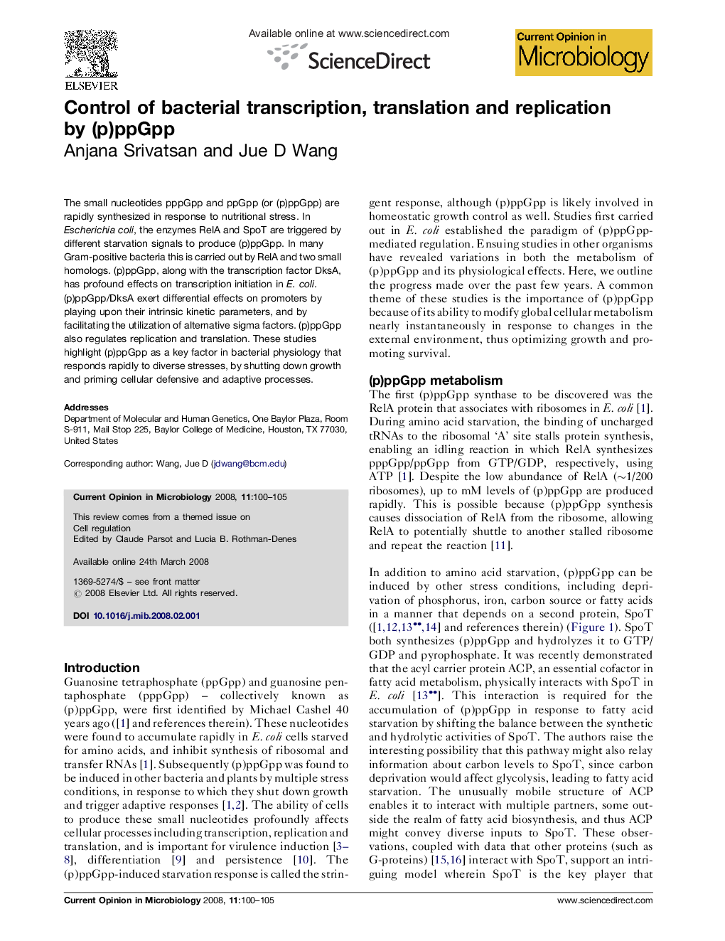 Control of bacterial transcription, translation and replication by (p)ppGpp