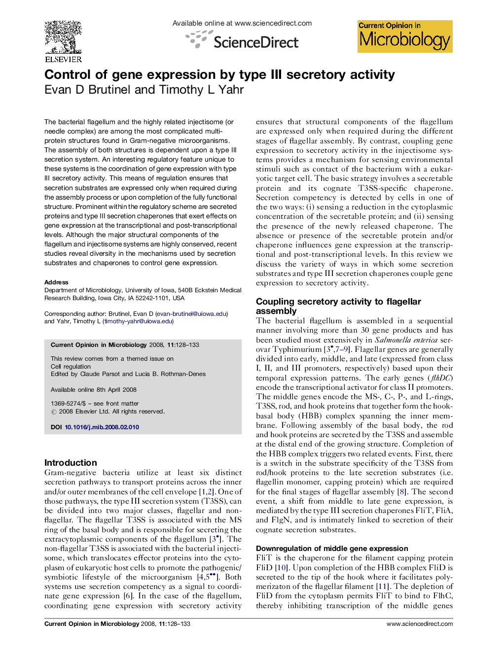 Control of gene expression by type III secretory activity