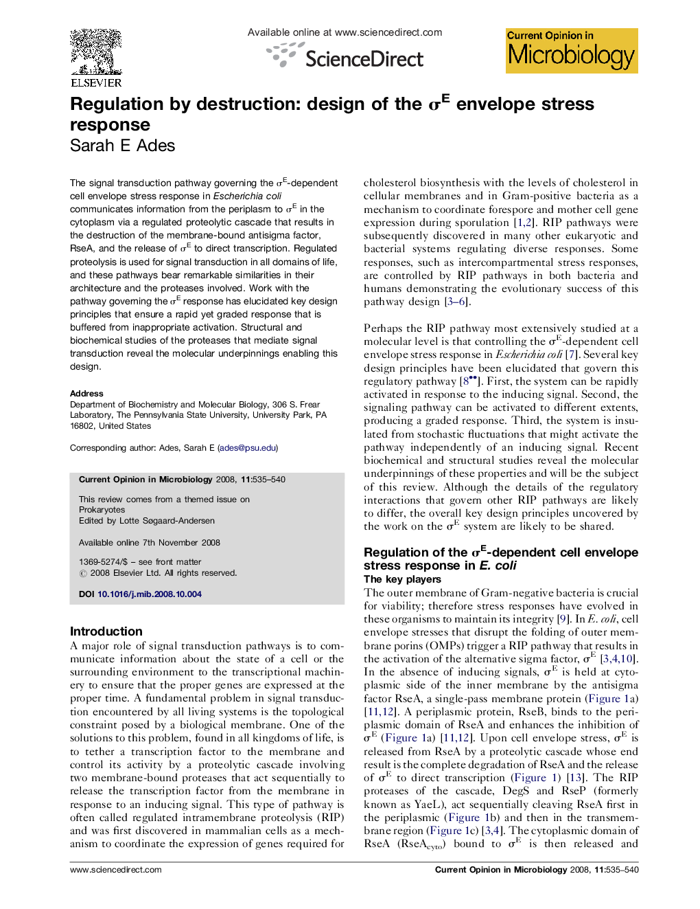 Regulation by destruction: design of the σE envelope stress response