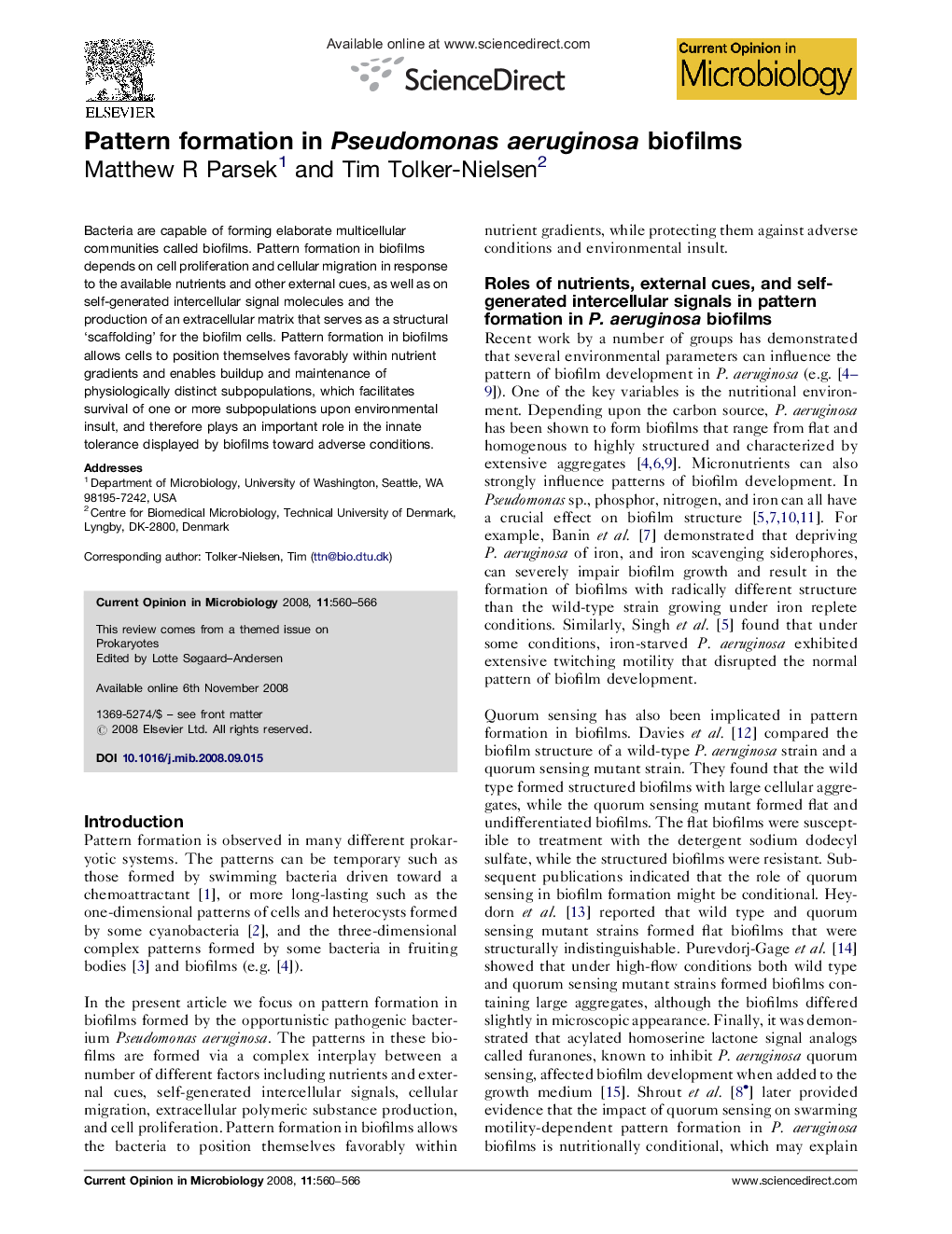 Pattern formation in Pseudomonas aeruginosa biofilms