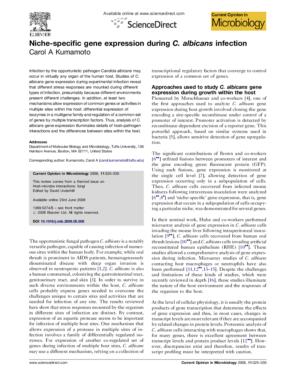 Niche-specific gene expression during C. albicans infection