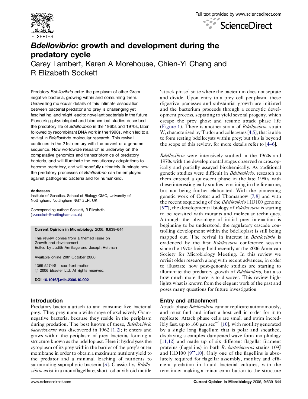 Bdellovibrio: growth and development during the predatory cycle