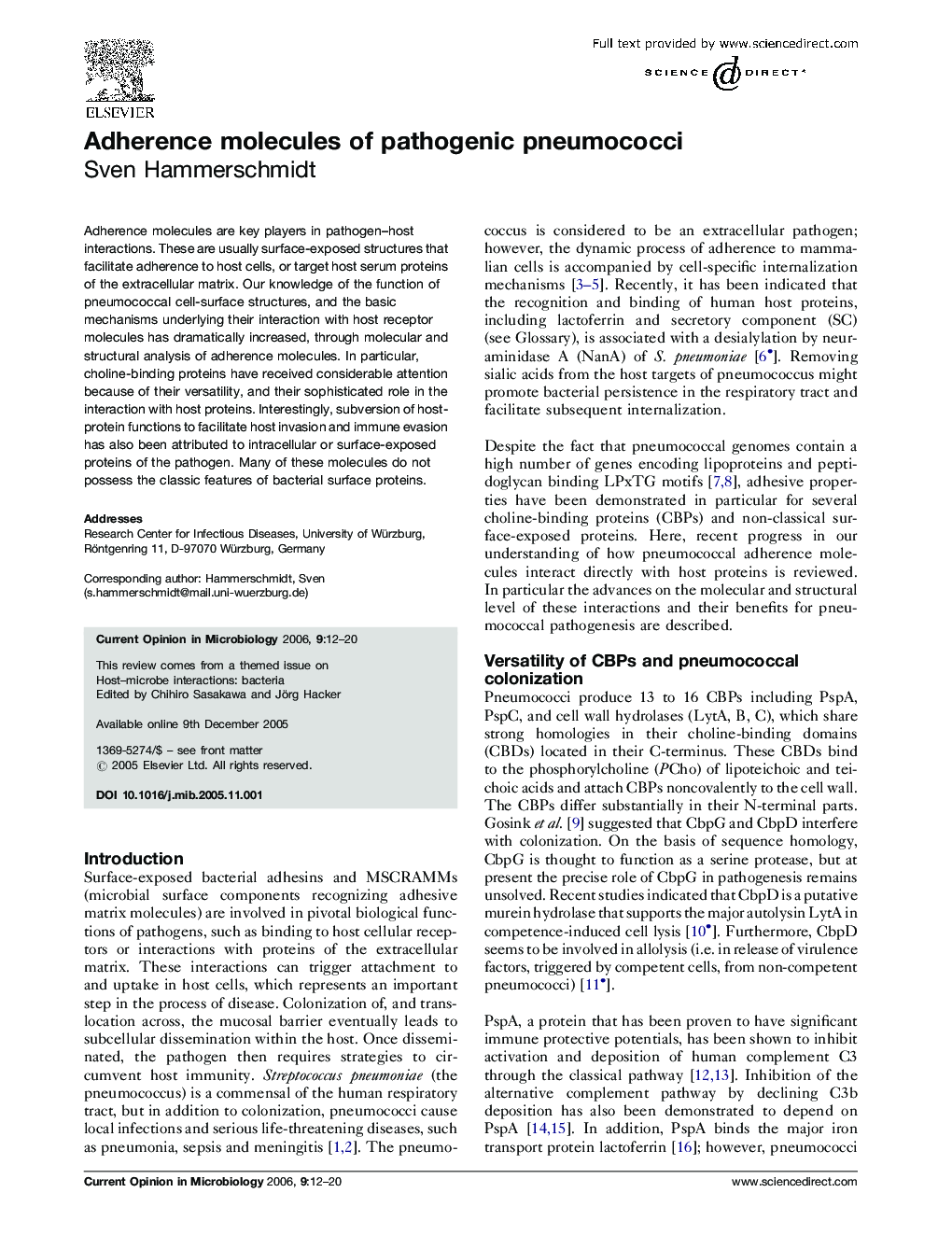 Adherence molecules of pathogenic pneumococci