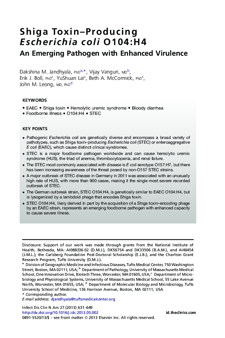 Shiga Toxin-Producing Escherichia coli O104:H4