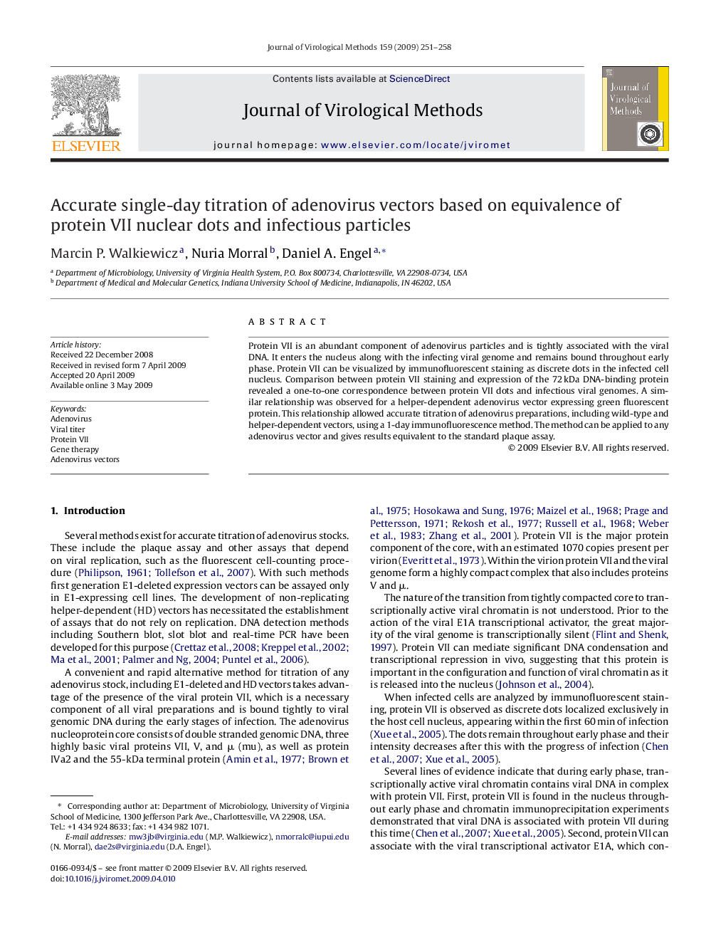 Accurate single-day titration of adenovirus vectors based on equivalence of protein VII nuclear dots and infectious particles