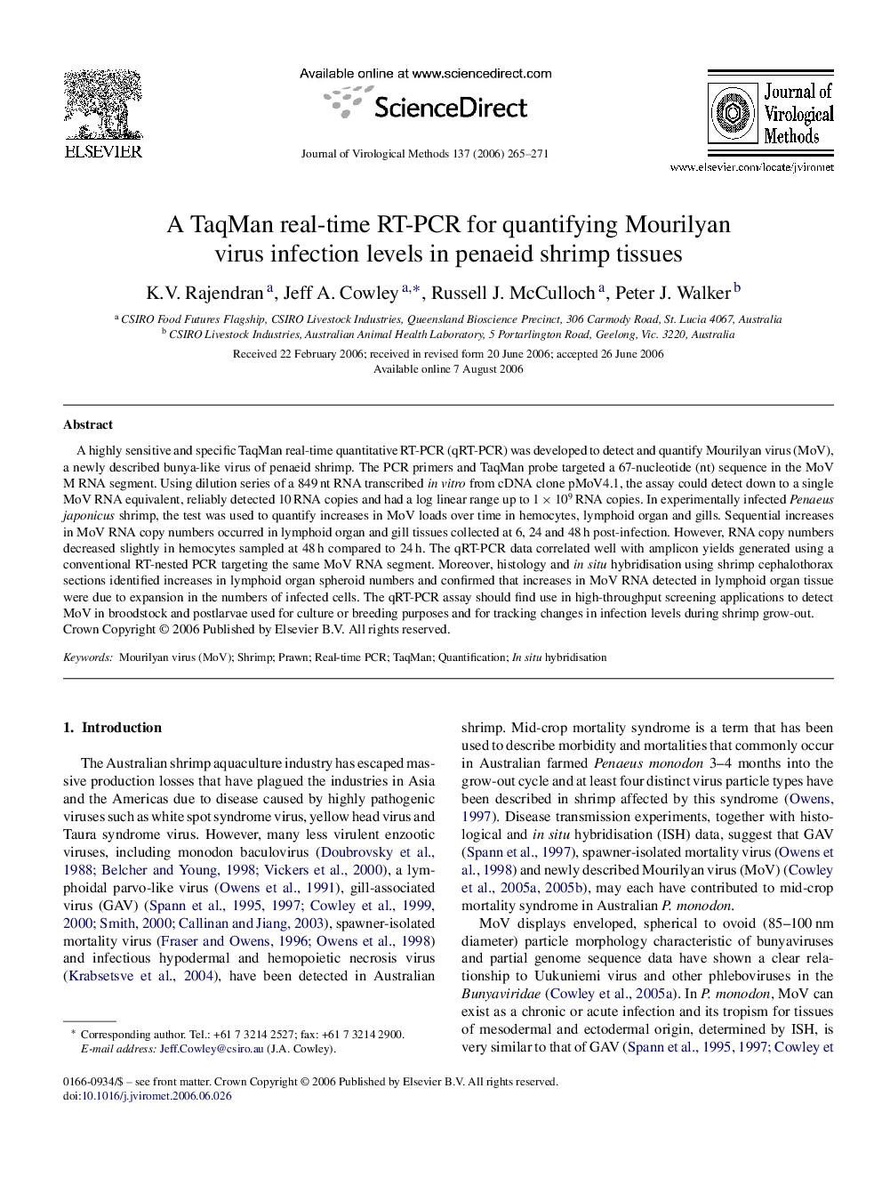 A TaqMan real-time RT-PCR for quantifying Mourilyan virus infection levels in penaeid shrimp tissues