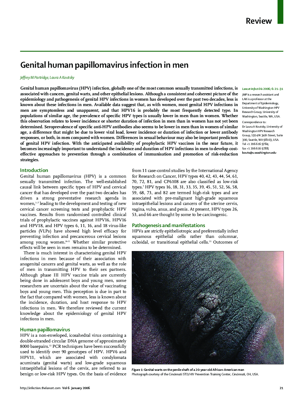 Genital human papillomavirus infection in men