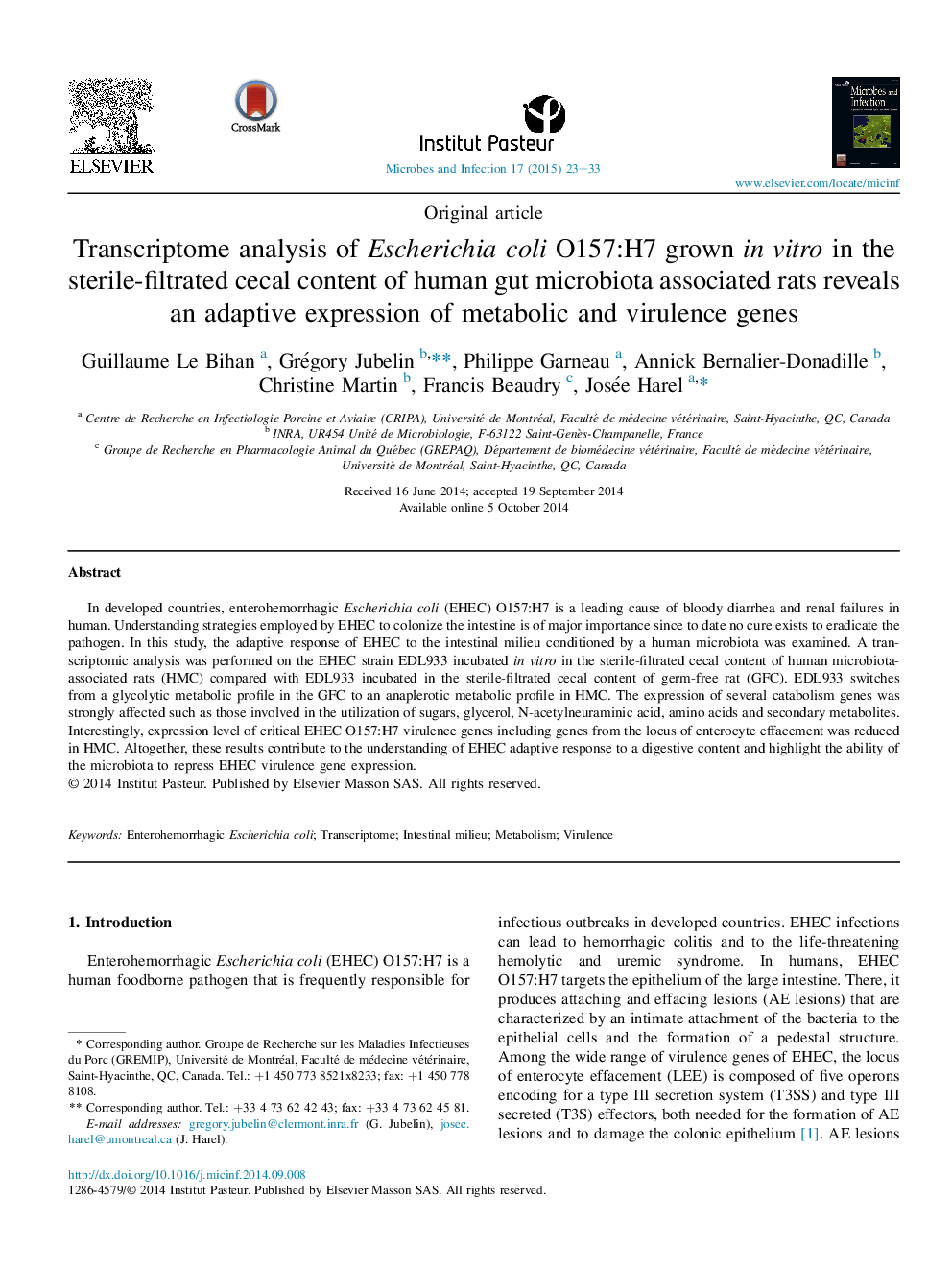 Transcriptome analysis of Escherichia coli O157:H7 grown in vitro in the sterile-filtrated cecal content of human gut microbiota associated rats reveals an adaptive expression of metabolic and virulence genes