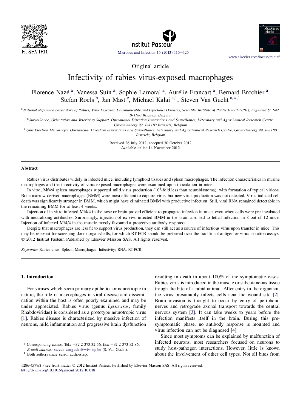 Infectivity of rabies virus-exposed macrophages