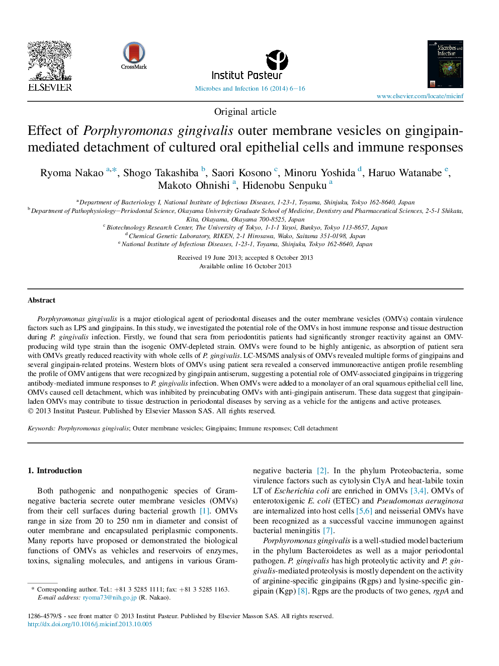 Effect of Porphyromonas gingivalis outer membrane vesicles on gingipain-mediated detachment of cultured oral epithelial cells and immune responses