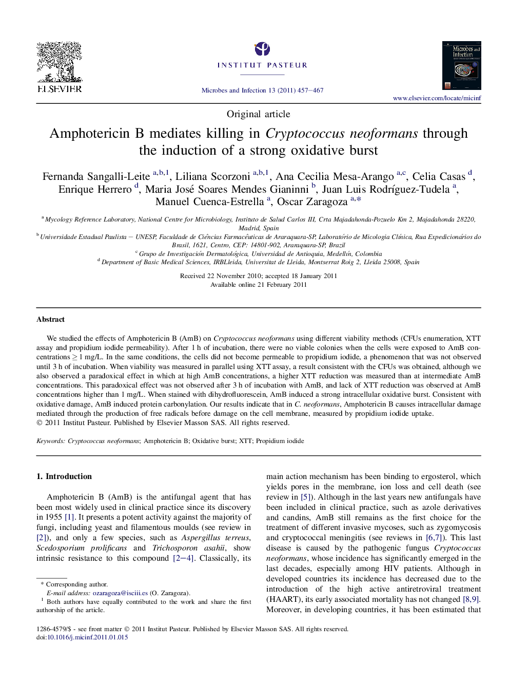 Amphotericin B mediates killing in Cryptococcus neoformans through the induction of a strong oxidative burst