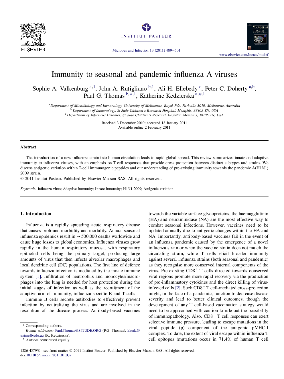 Immunity to seasonal and pandemic influenza A viruses