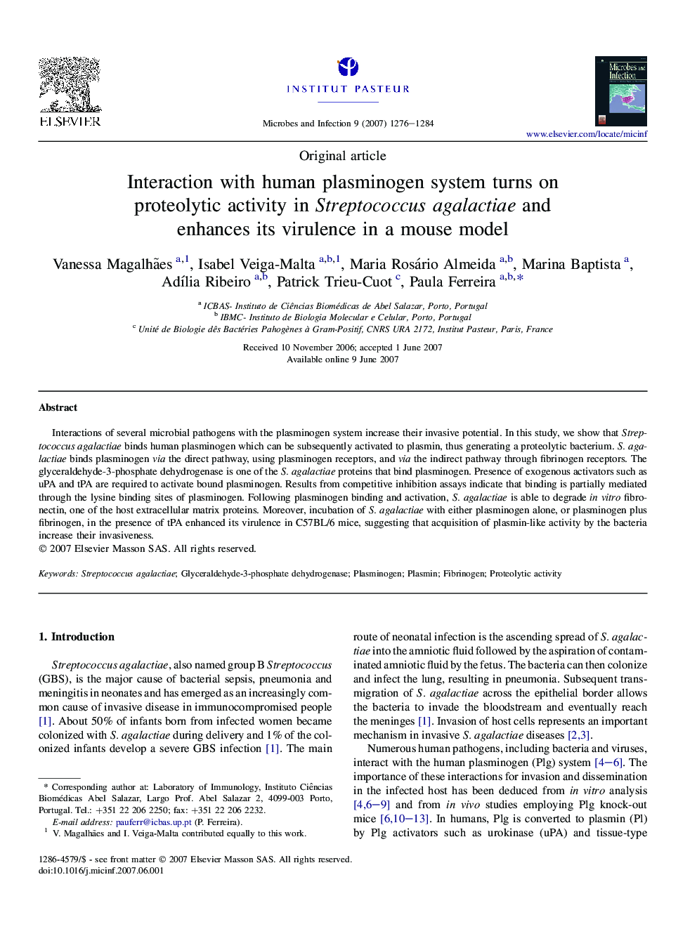 Interaction with human plasminogen system turns on proteolytic activity in Streptococcus agalactiae and enhances its virulence in a mouse model