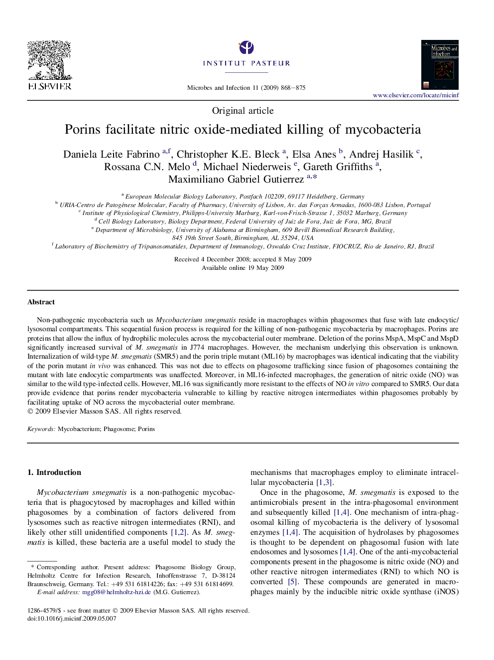 Porins facilitate nitric oxide-mediated killing of mycobacteria