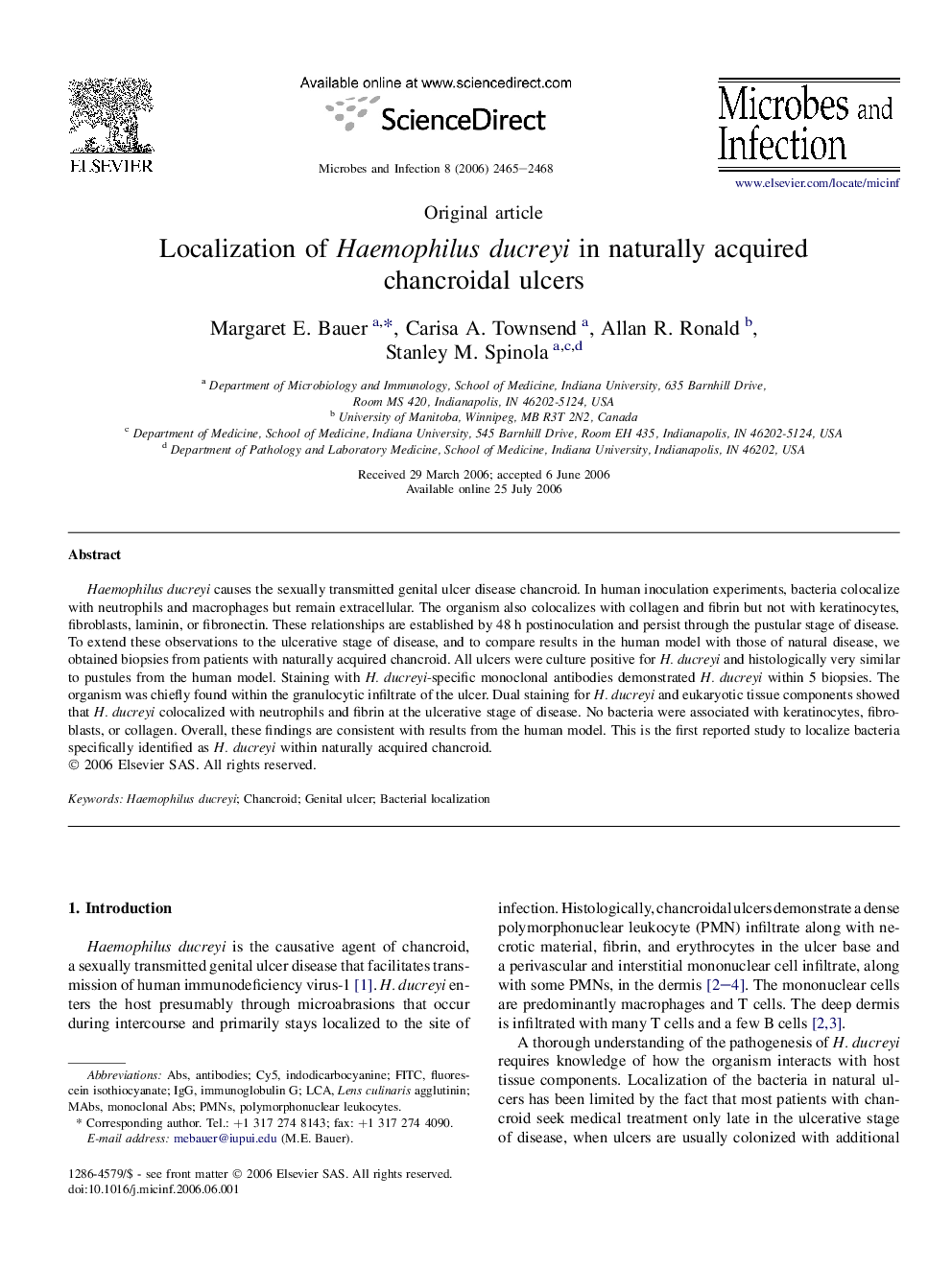 Localization of Haemophilus ducreyi in naturally acquired chancroidal ulcers