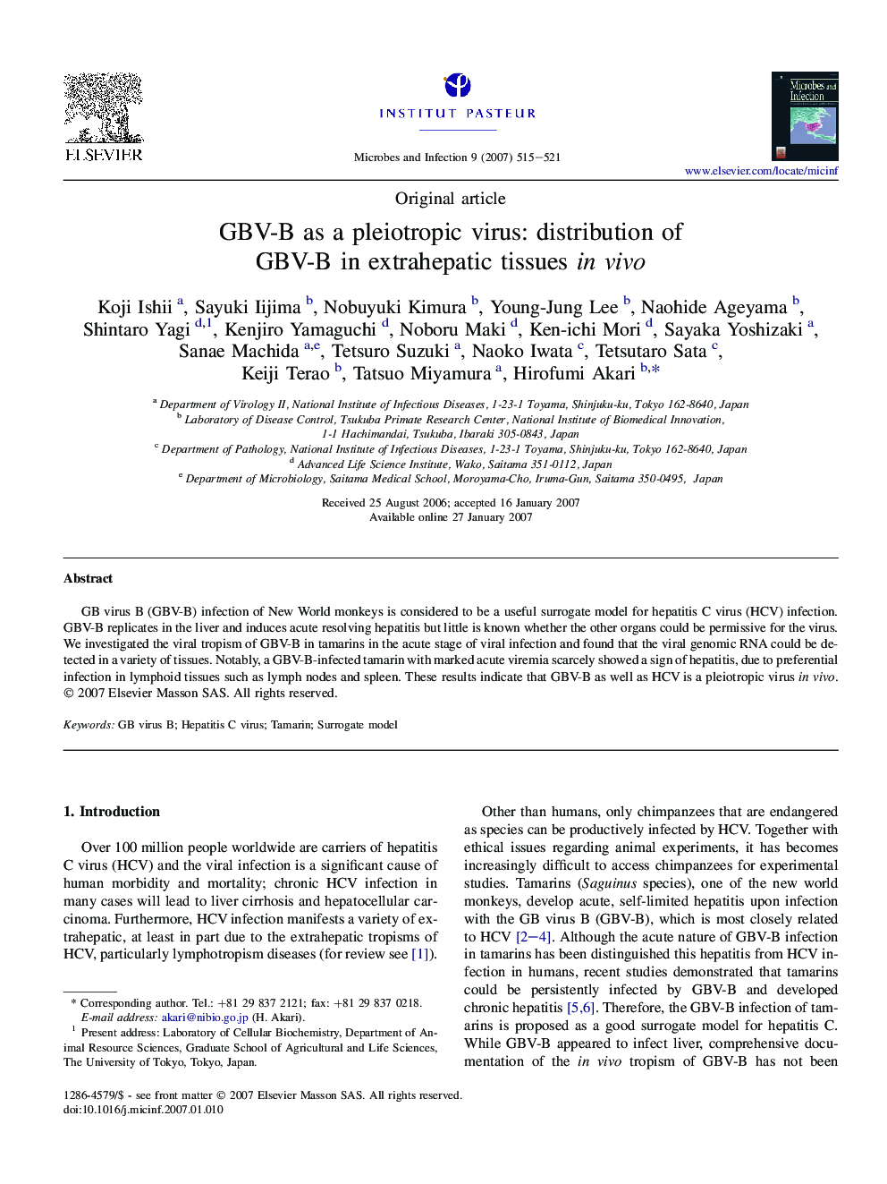 GBV-B as a pleiotropic virus: distribution of GBV-B in extrahepatic tissues in vivo