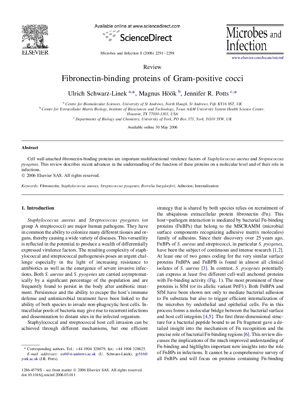 Fibronectin-binding proteins of Gram-positive cocci