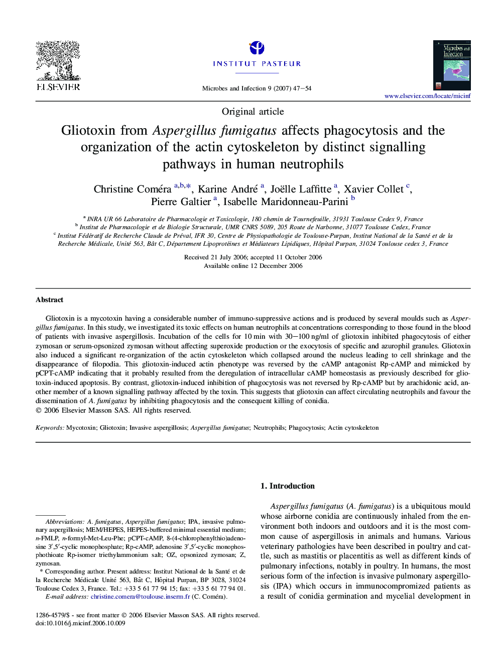 Gliotoxin from Aspergillus fumigatus affects phagocytosis and the organization of the actin cytoskeleton by distinct signalling pathways in human neutrophils