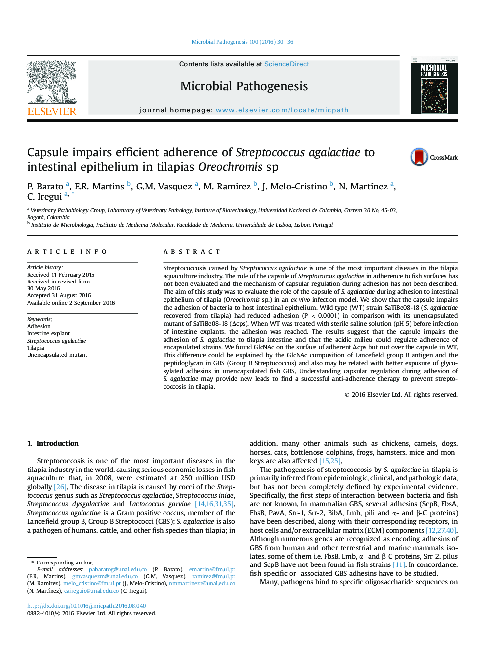 Capsule impairs efficient adherence of Streptococcus agalactiae to intestinal epithelium in tilapias Oreochromis sp