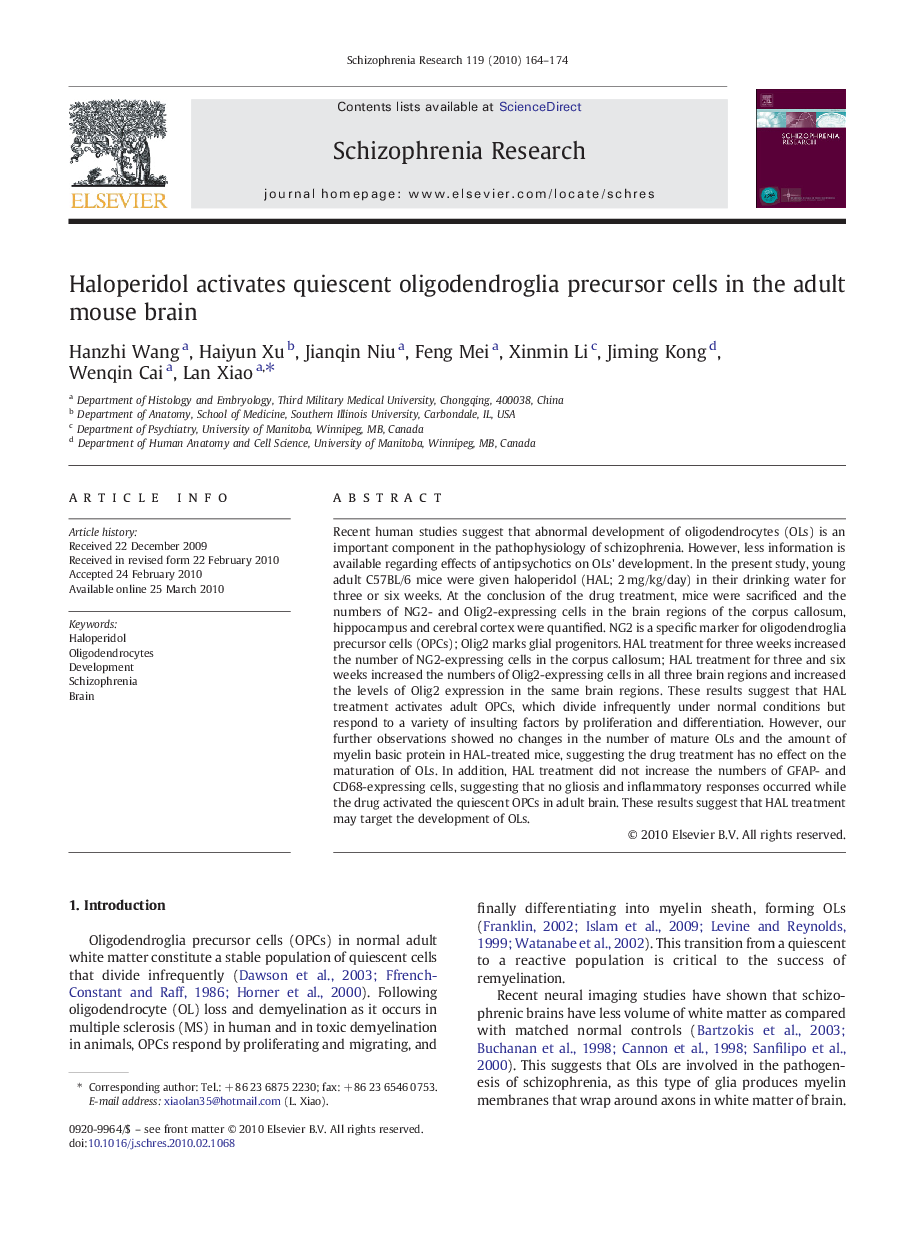 Haloperidol activates quiescent oligodendroglia precursor cells in the adult mouse brain