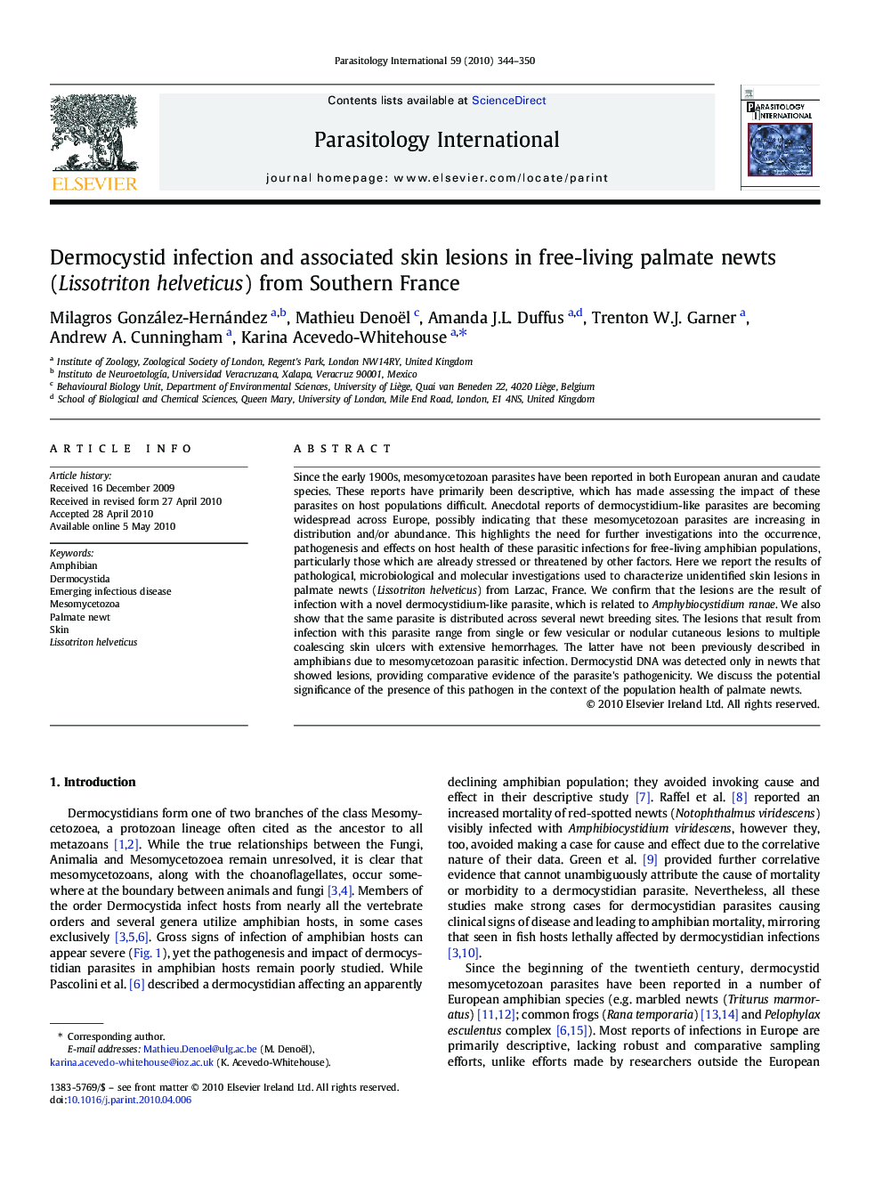 Dermocystid infection and associated skin lesions in free-living palmate newts (Lissotriton helveticus) from Southern France