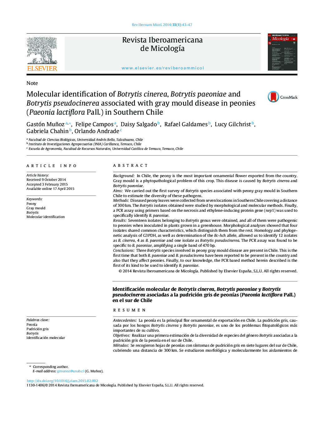 عکس صفحه اول مقاله: Molecular identification of Botrytis cinerea, Botrytis paeoniae and Botrytis pseudocinerea associated with gray mould disease in peonies (Paeonia lactiflora Pall.) in Southern Chile Molecular identification of Botrytis cinerea, Botrytis paeoniae and Botrytis pseudocinerea associated with gray mould disease in peonies (Paeonia lactiflora Pall.) in Southern Chile