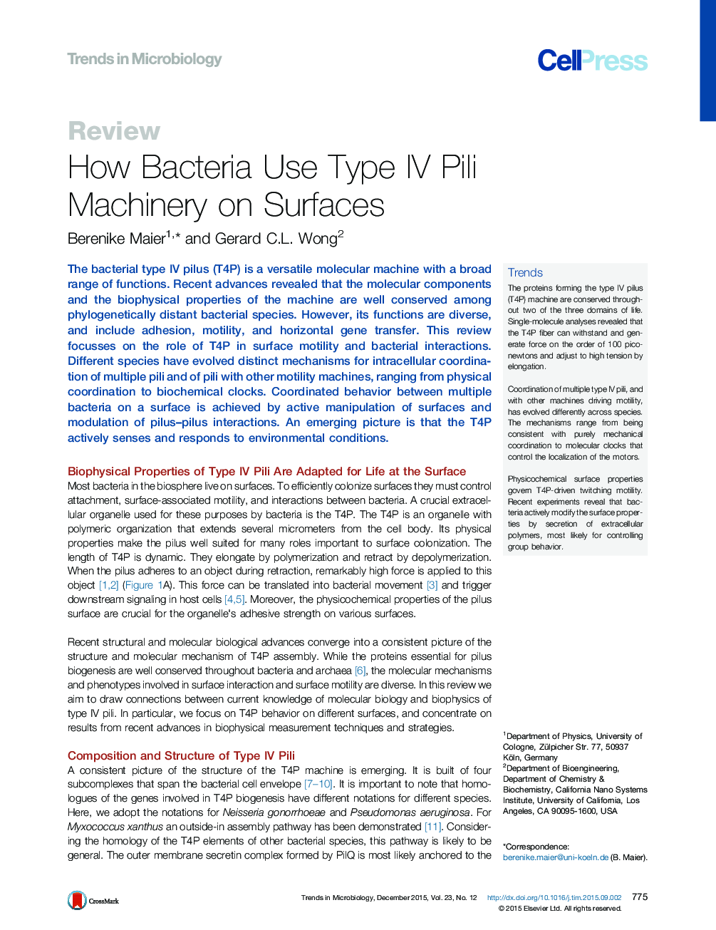 How Bacteria Use Type IV Pili Machinery on Surfaces