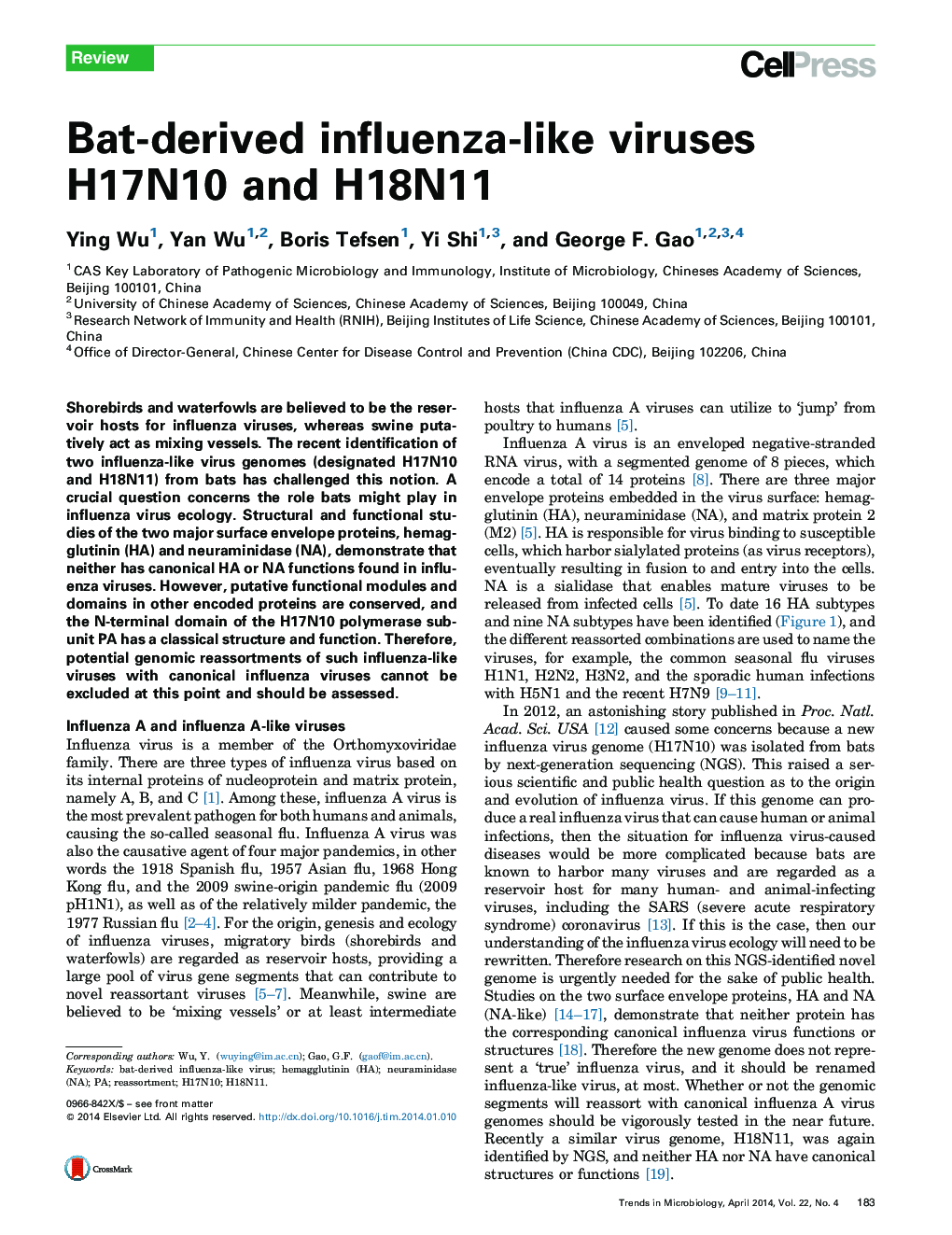 Bat-derived influenza-like viruses H17N10 and H18N11