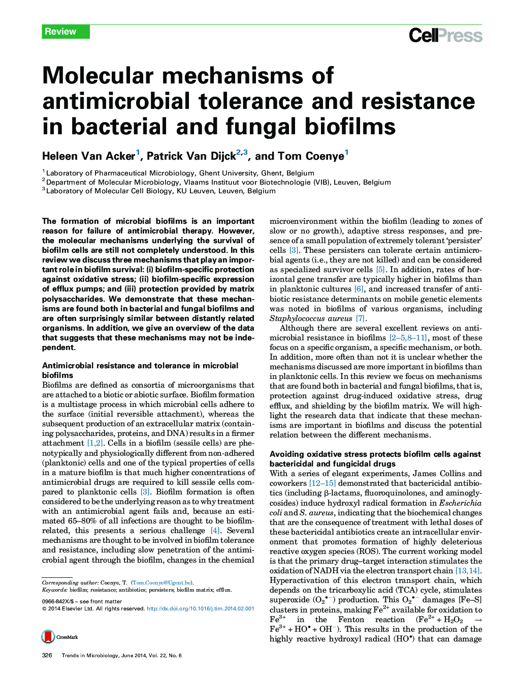 Molecular mechanisms of antimicrobial tolerance and resistance in bacterial and fungal biofilms
