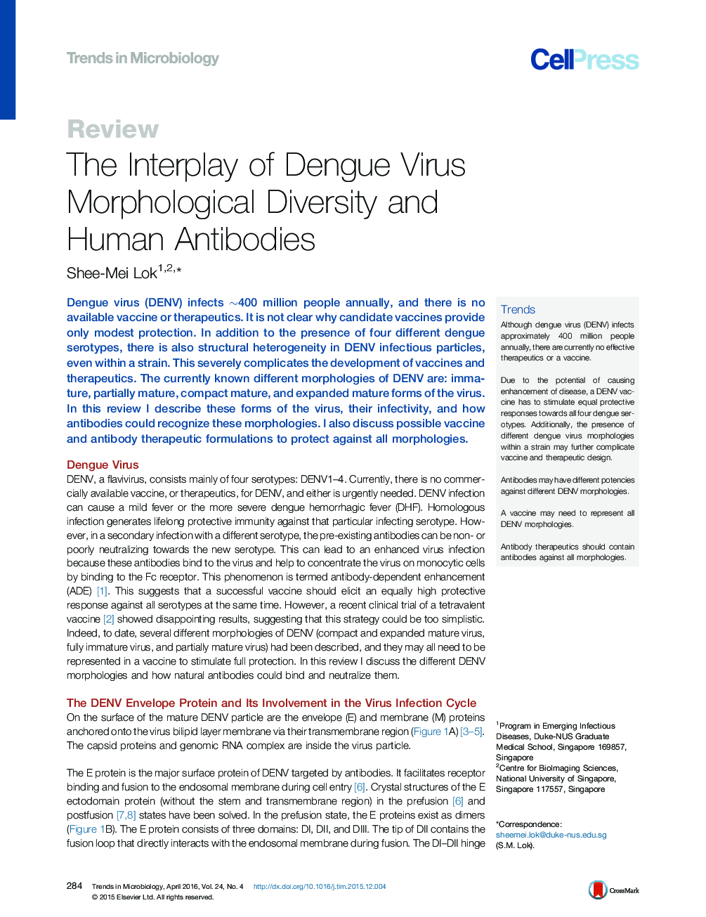 The Interplay of Dengue Virus Morphological Diversity and Human Antibodies