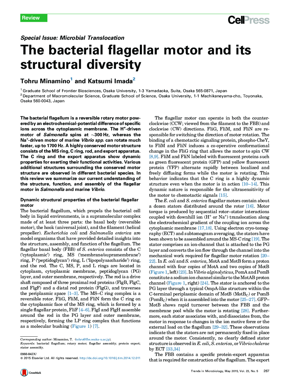 The bacterial flagellar motor and its structural diversity