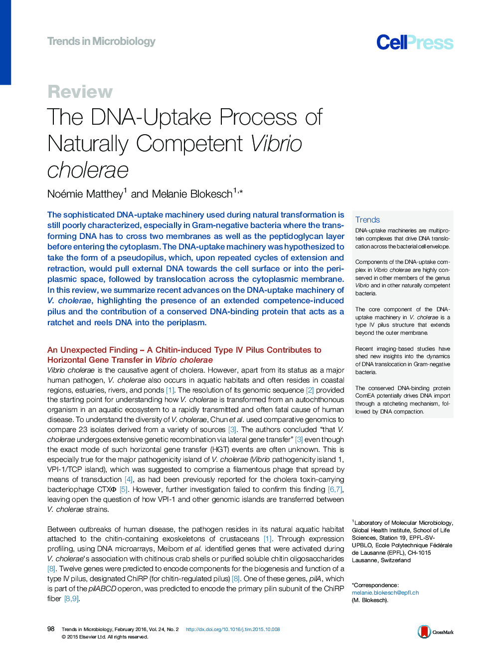 The DNA-Uptake Process of Naturally Competent Vibrio cholerae