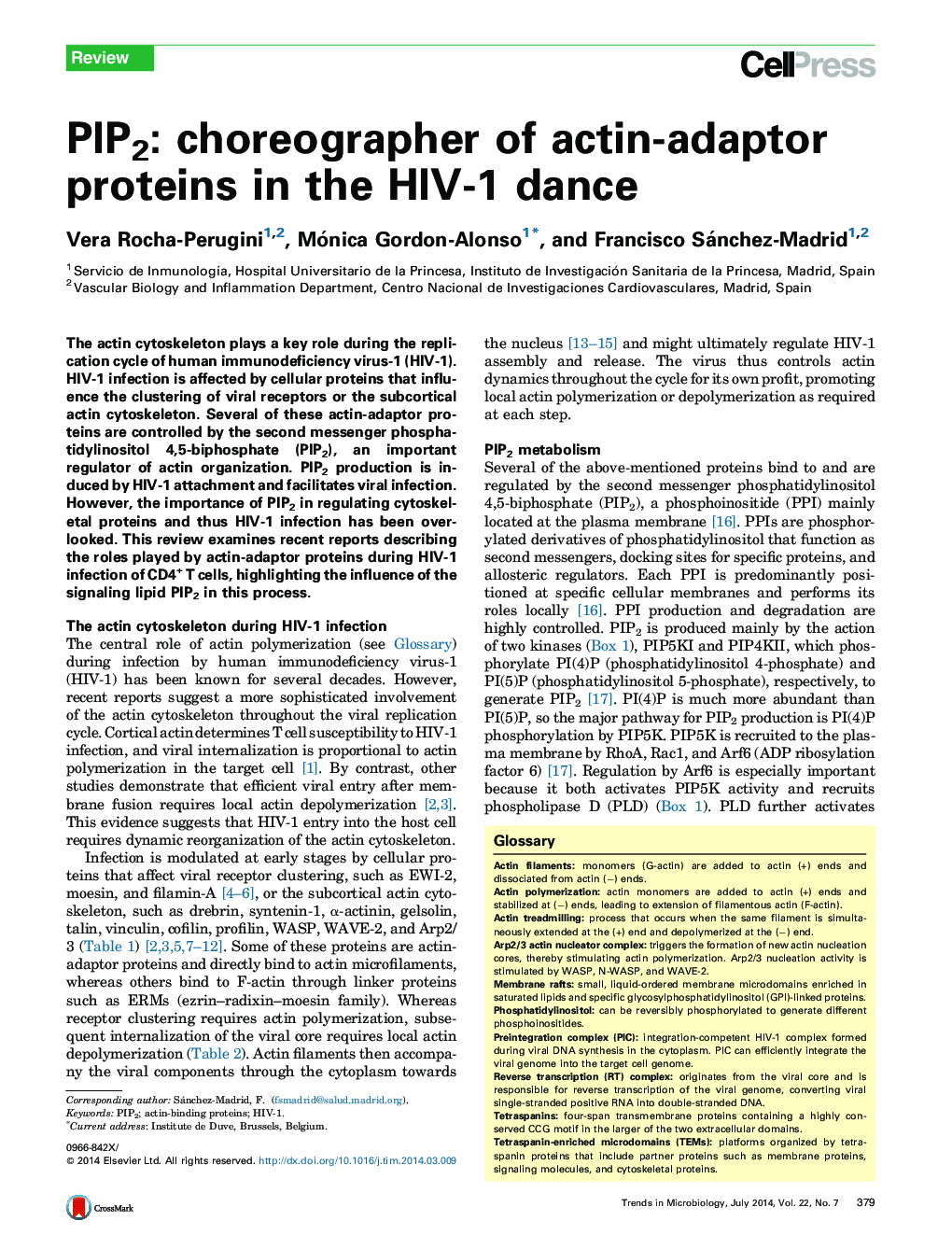 PIP2: choreographer of actin-adaptor proteins in the HIV-1 dance