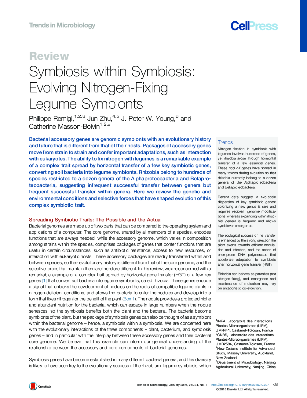 Symbiosis within Symbiosis: Evolving Nitrogen-Fixing Legume Symbionts