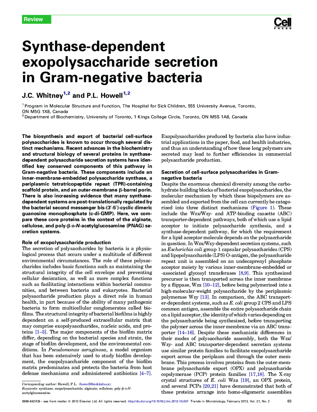 Synthase-dependent exopolysaccharide secretion in Gram-negative bacteria