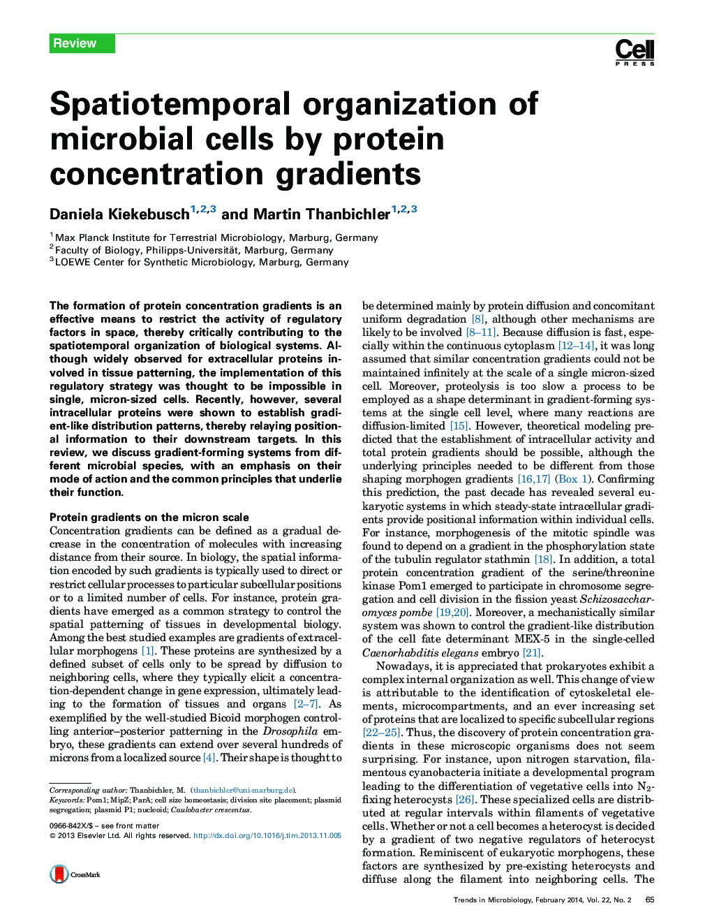 Spatiotemporal organization of microbial cells by protein concentration gradients